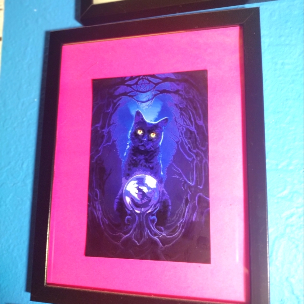 Black magic cat